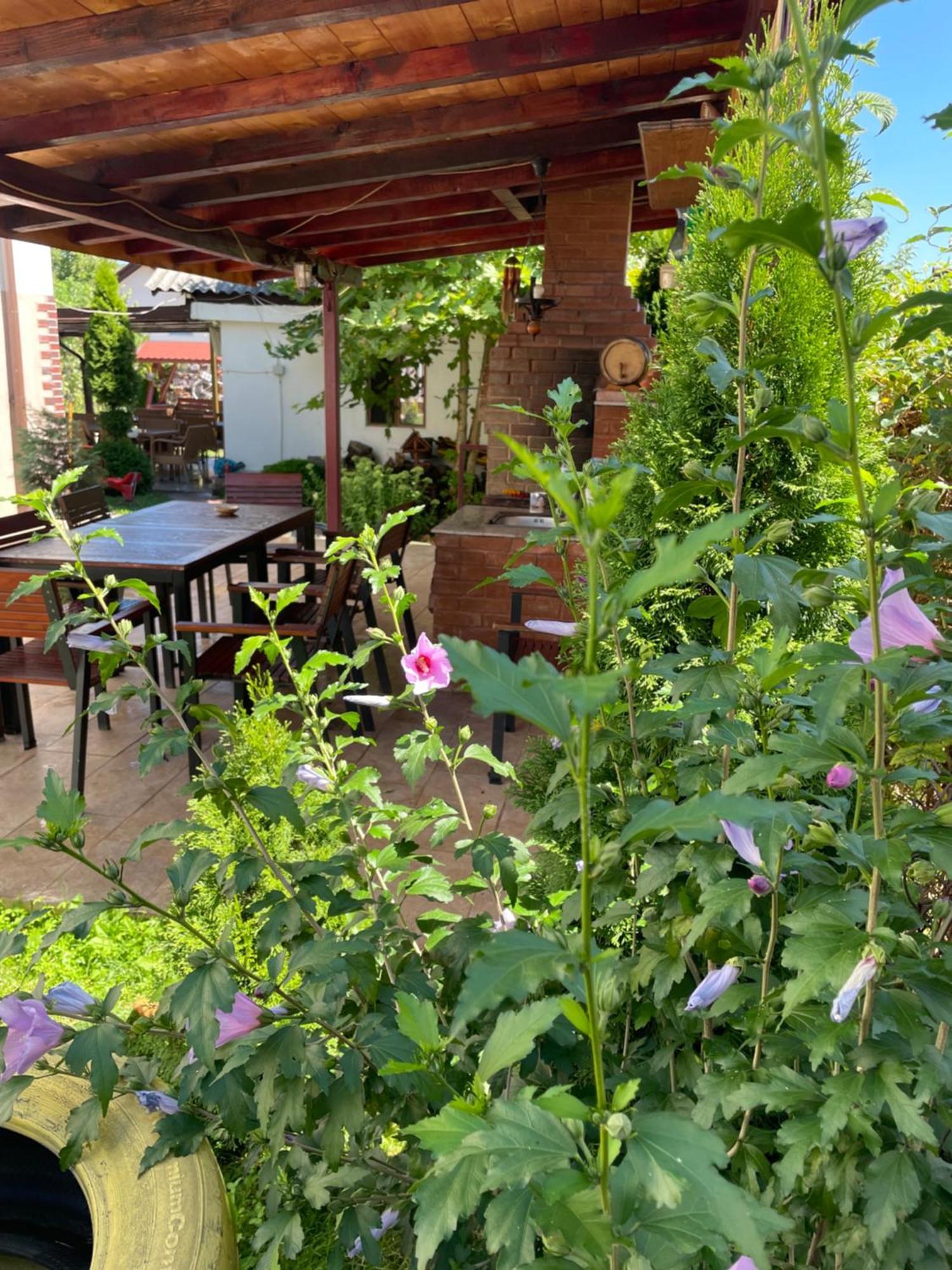 Pensiunea Casa Rica Călimăneşti Extérieur photo
