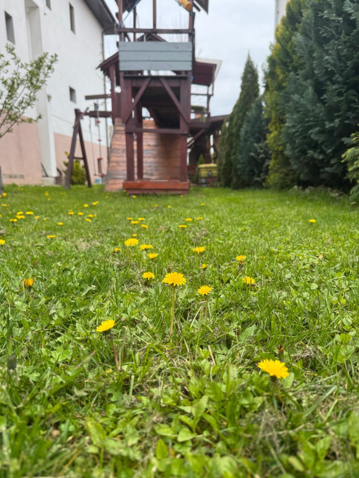Pensiunea Casa Rica Călimăneşti Extérieur photo