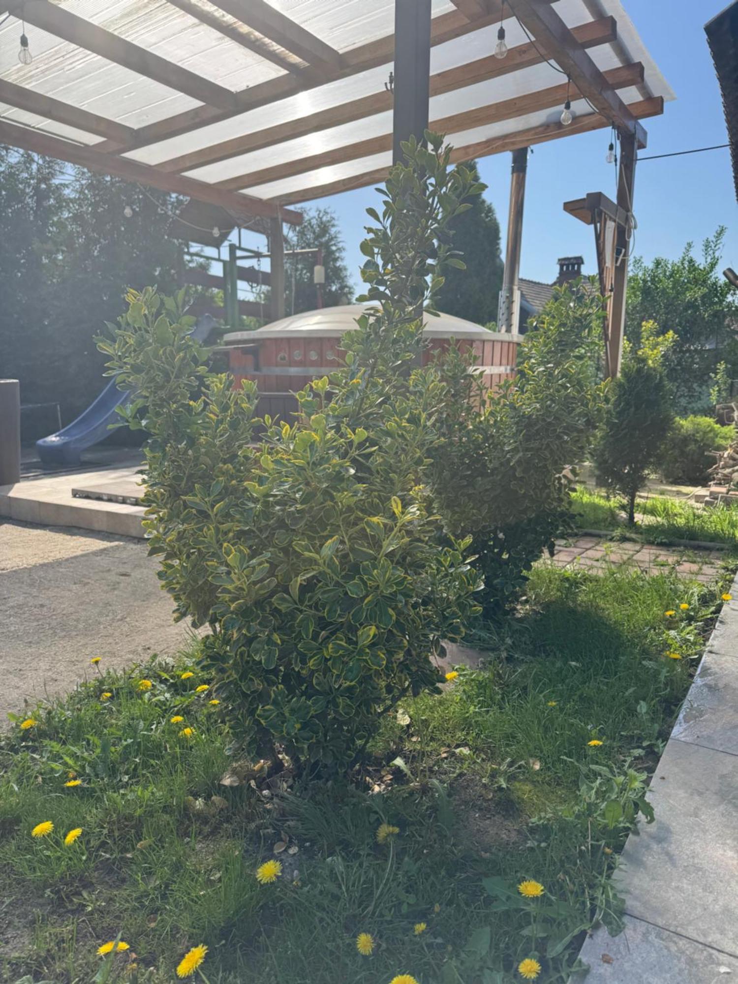 Pensiunea Casa Rica Călimăneşti Extérieur photo